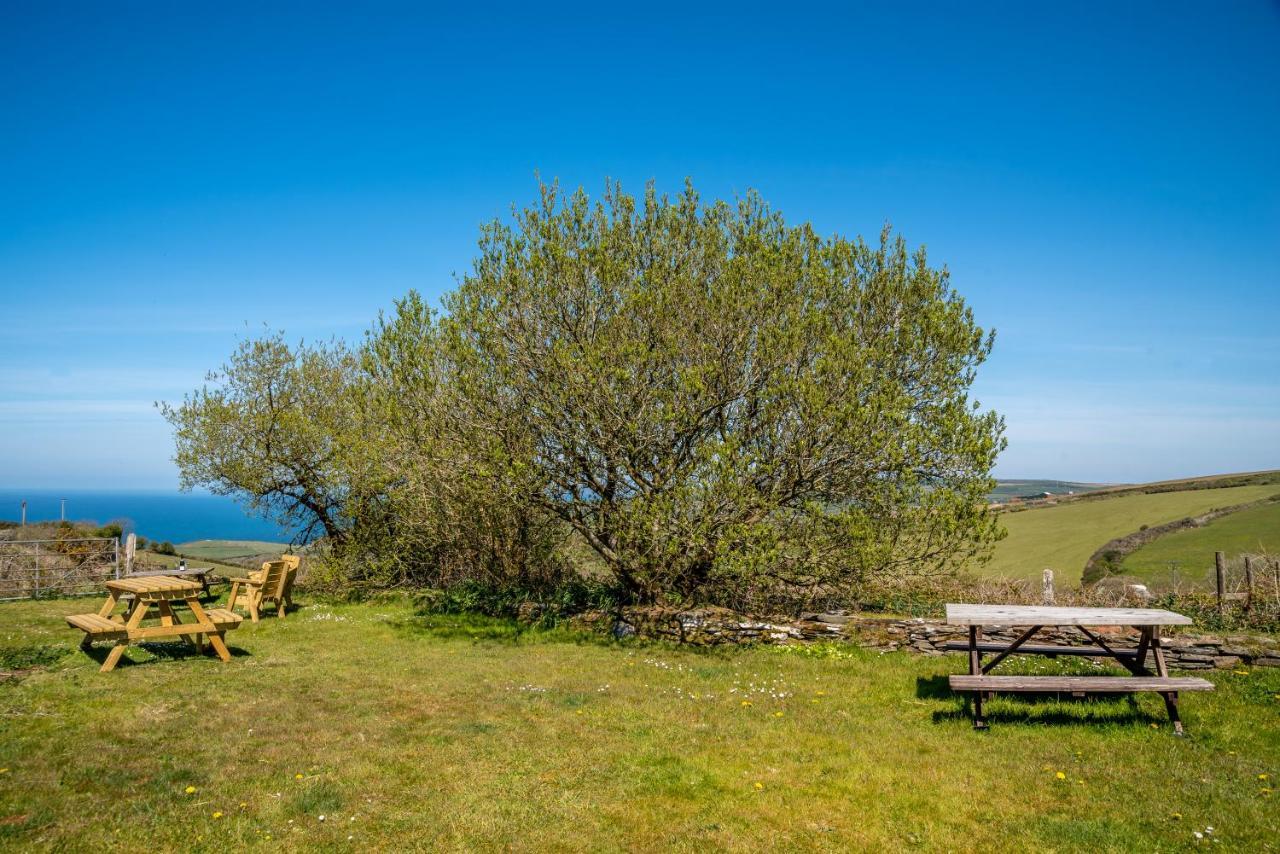 Polrunny Farm Seaberry Cottage With A Sea View And Log Burner Boscastle Exteriér fotografie