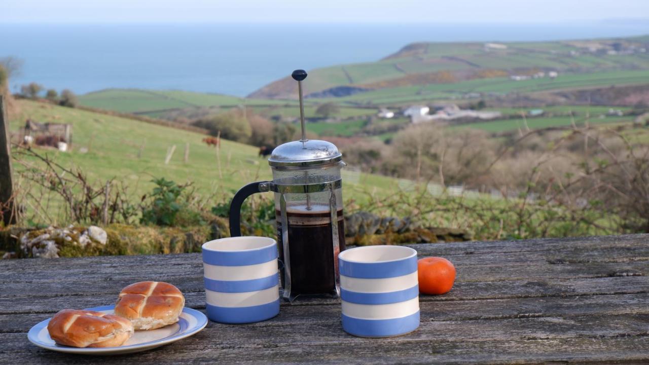 Polrunny Farm Seaberry Cottage With A Sea View And Log Burner Boscastle Exteriér fotografie