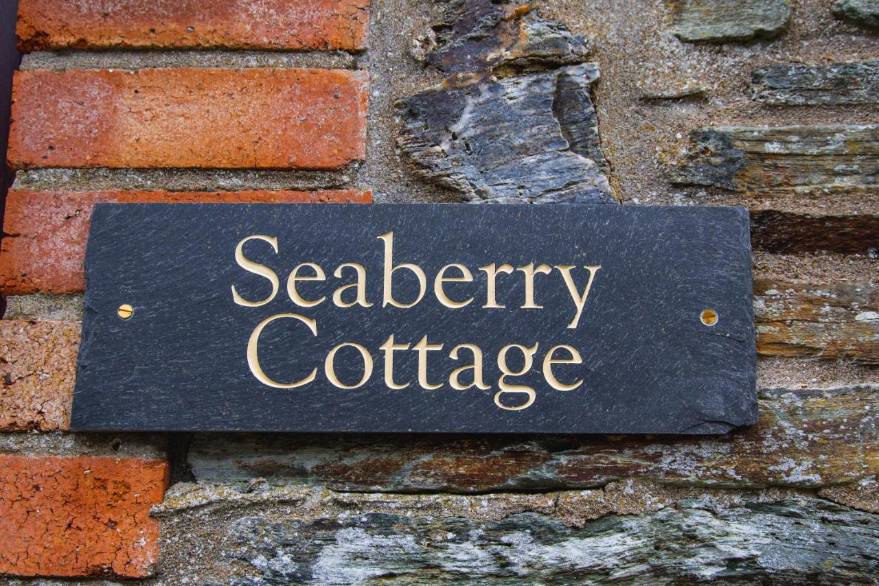 Polrunny Farm Seaberry Cottage With A Sea View And Log Burner Boscastle Exteriér fotografie