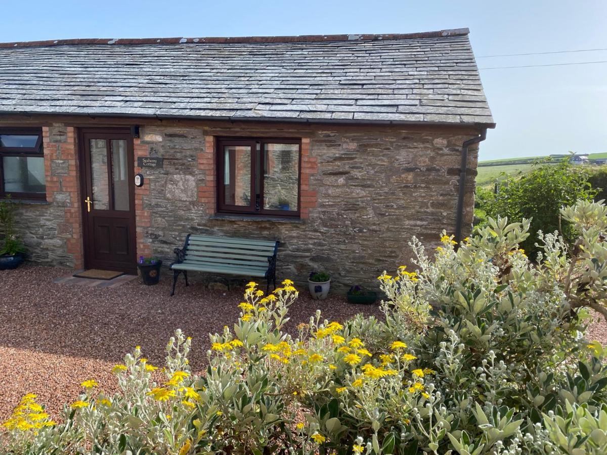 Polrunny Farm Seaberry Cottage With A Sea View And Log Burner Boscastle Exteriér fotografie