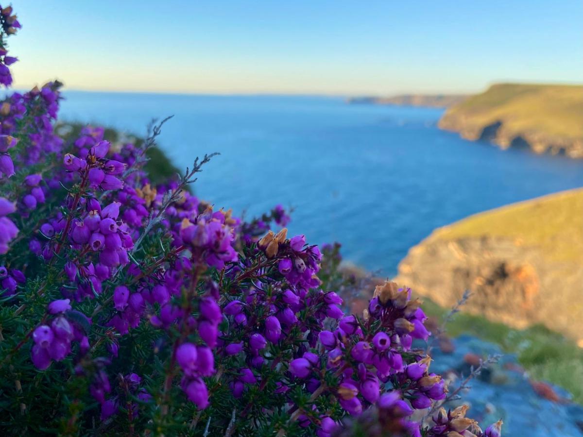 Polrunny Farm Seaberry Cottage With A Sea View And Log Burner Boscastle Exteriér fotografie